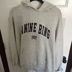 Anine bing hoodie
